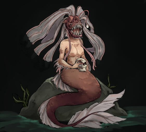 projects: starts at $50